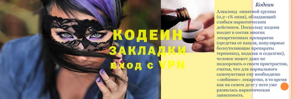 молекула духа Лабытнанги