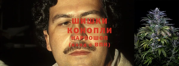 молекула духа Лабытнанги