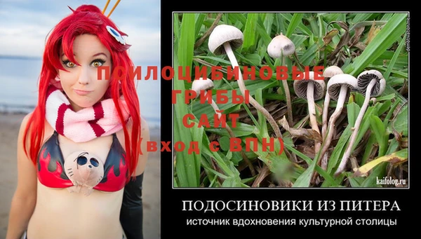 таблы Ладушкин
