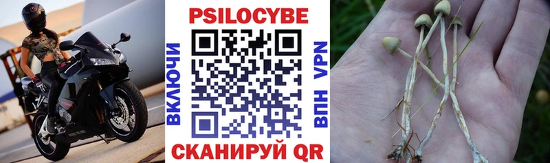 Галлюциногенные грибы мицелий  блэк спрут ONION  даркнет наркотические препараты  сколько стоит  Бобров 